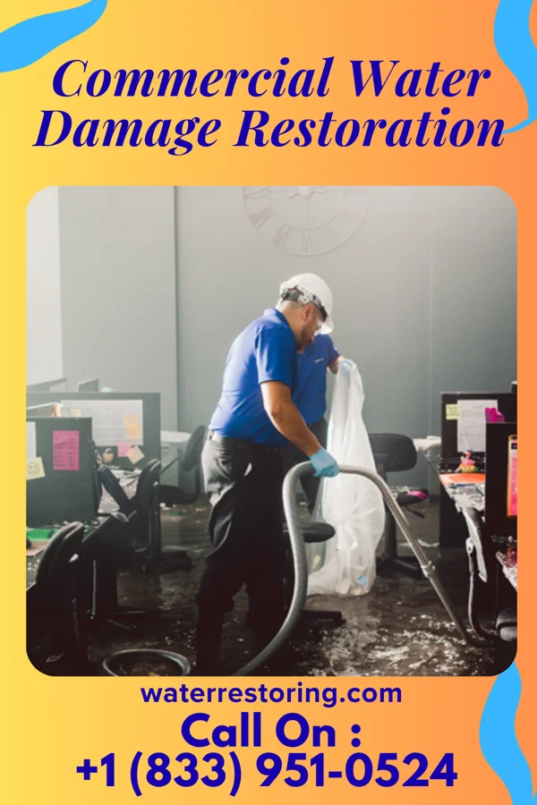 Commercial Water Damage Restoration in Osino, NV