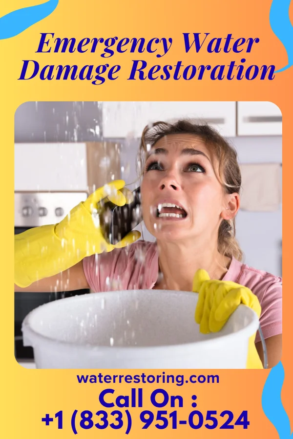 Emergency Water Damage Restoration in Osino, NV